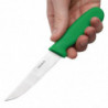 Gemüsemesser Grün Klinge 10 cm - Hygiplas - Fourniresto