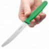 Messer mit gezackter Klinge, 10 cm - Hygiplas - Fourniresto