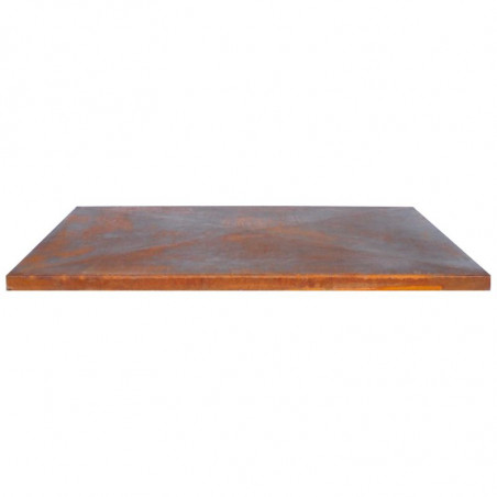 Schutzabdeckung G1, G2, G3, G4 Corten - ARTISS