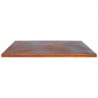 Couvercle de Protection G1, G2, G3, G4 Corten - ARTISS