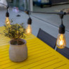 Filament Bulb String Light - Mafy Light - Lumisky