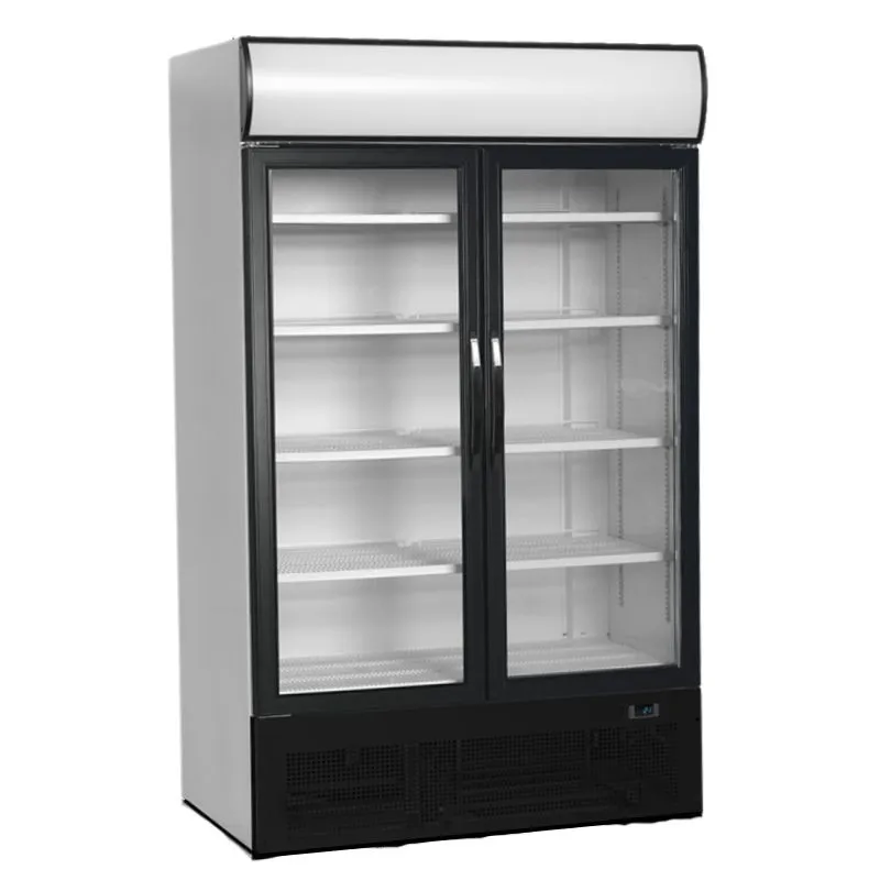 Kühlvitrine mit Vordach 2 Glastüren - 645 L