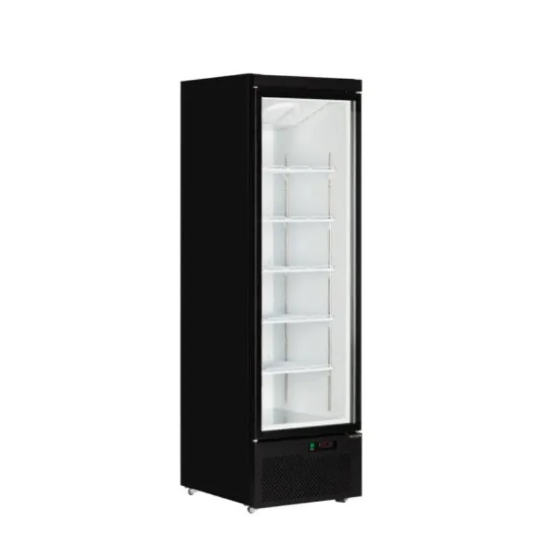 Positive Kühlschrank mit Glastür - 459 L
