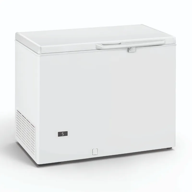 Tiefkühltruhe Profi - 290 L