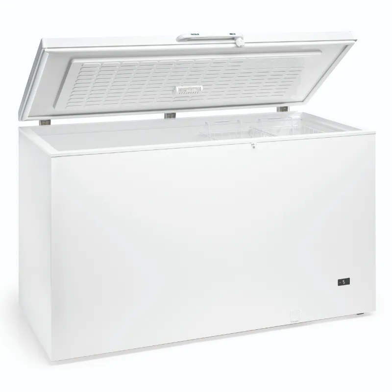 Tiefkühltruhe Profi - 700 L