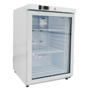 Mini-Kühlschrank 200 L - Positive Glastür Edelstahl - Generalüberholt