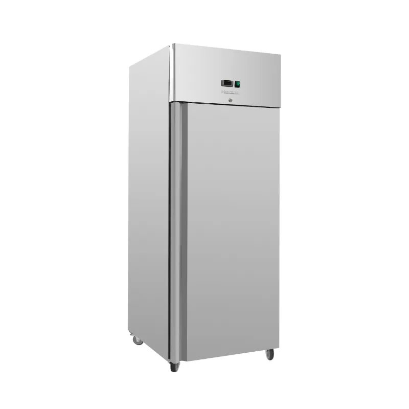 Edelstahl-Tiefkühlschrank GN 2/1 - 650 L