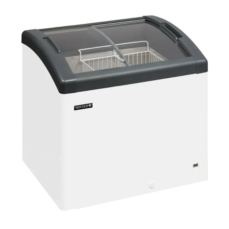 Gefrierschrank für Speiseeis - 161 L