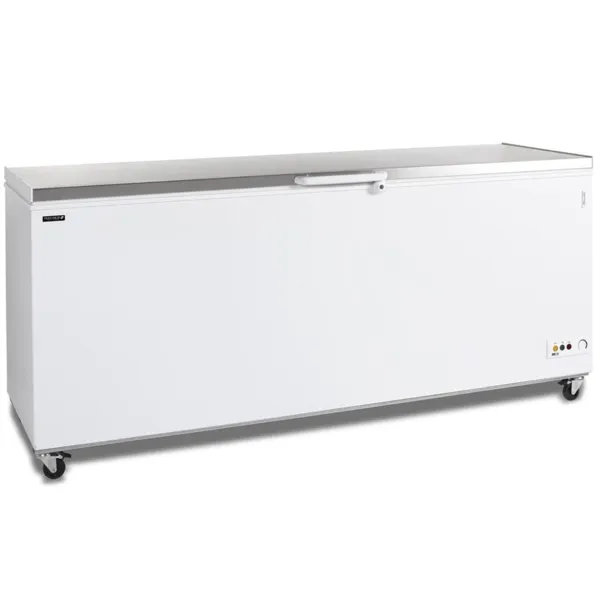 Gefriertruhe mit Edelstahldeckel - 600 L