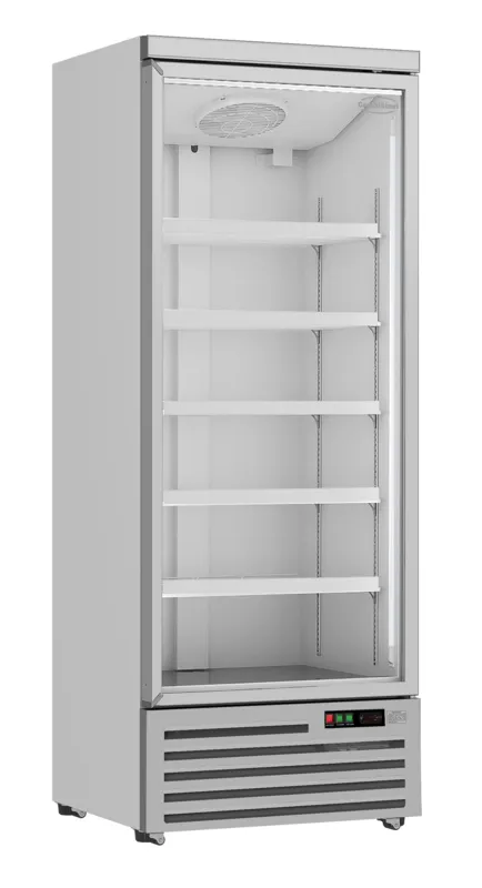 Positive Kühlschrank - 1 Glastür - 600 L
