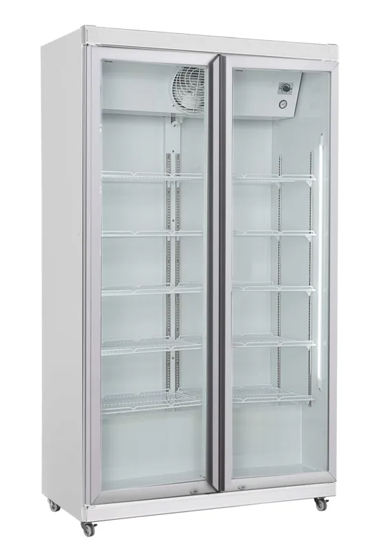 Positive Kühlvitrine - 2 Glastüren - 785 L