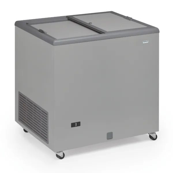 Professionelle Gefriertruhe Edelstahloptik und undurchsichtiger Deckel - 220 L